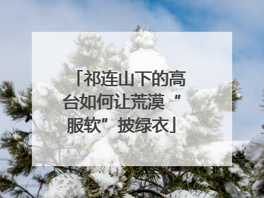 祁连山下的高台如何让荒漠“服软”披绿衣