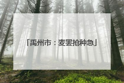 禹州市：麦罢抢种急