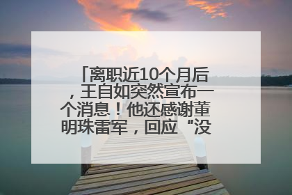 离职近10个月后，王自如突然宣布一个消息！他还感谢董明珠雷军，回应“没看过格力工资条”：真的不那么重要！