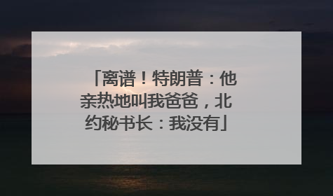 离谱！特朗普：他亲热地叫我爸爸，北约秘书长：我没有