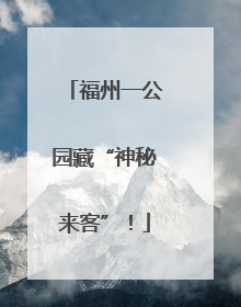 福州一公园藏“神秘来客”！