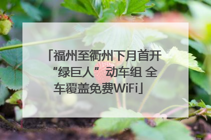 福州至衢州下月首开“绿巨人”动车组 全车覆盖免费WiFi
