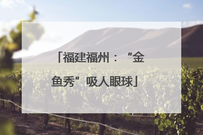 福建福州：“金鱼秀”吸人眼球