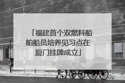 福建首个双燃料船舶船员培养见习点在厦门挂牌成立