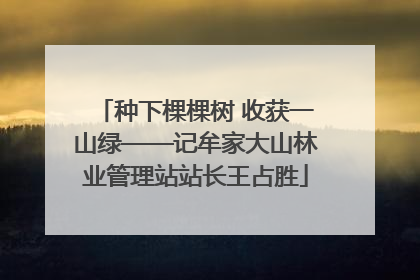 种下棵棵树 收获一山绿——记牟家大山林业管理站站长王占胜