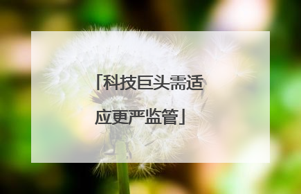科技巨头需适应更严监管