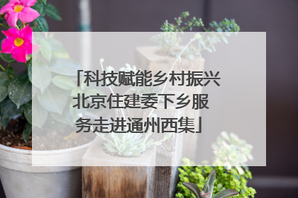 科技赋能乡村振兴 北京住建委下乡服务走进通州西集