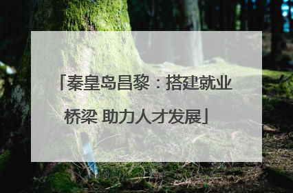 秦皇岛昌黎：搭建就业桥梁 助力人才发展