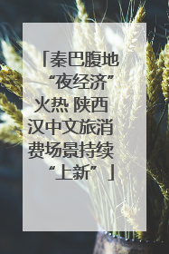 秦巴腹地“夜经济”火热 陕西汉中文旅消费场景持续“上新”
