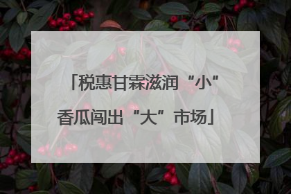 税惠甘霖滋润“小”香瓜闯出“大”市场