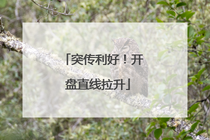 突传利好！开盘直线拉升