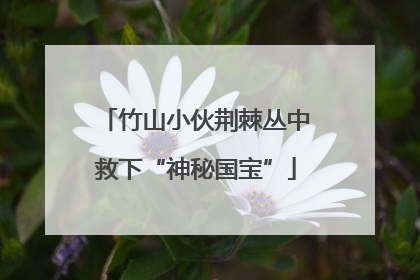 竹山小伙荆棘丛中救下“神秘国宝”