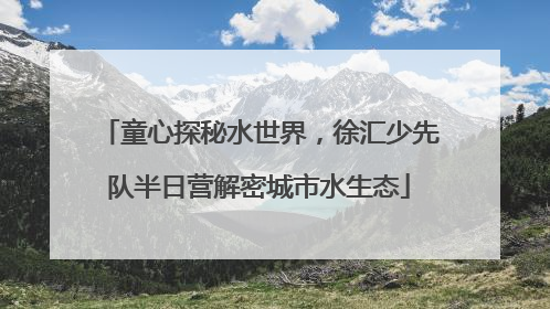 童心探秘水世界，徐汇少先队半日营解密城市水生态