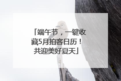 端午节，一键收藏5月拍客日历！共迎美好夏天