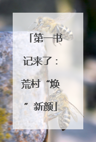 第一书记来了：荒村“焕”新颜