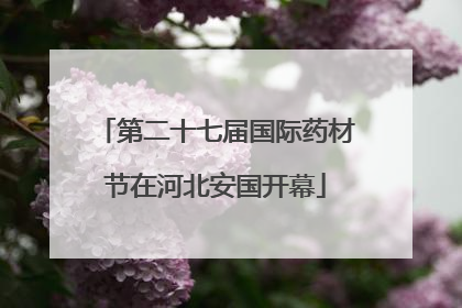 第二十七届国际药材节在河北安国开幕