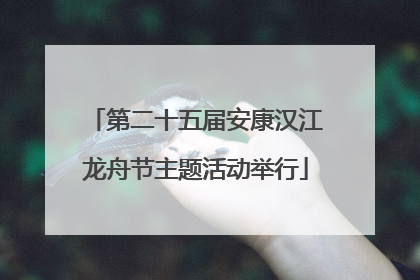 第二十五届安康汉江龙舟节主题活动举行