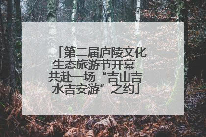 第二届庐陵文化生态旅游节开幕 共赴一场“吉山吉水吉安游”之约