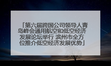 第六届跨国公司领导人青岛峰会通用航空和低空经济发展论坛举行 滨州市全方位推介低空经济发展优势