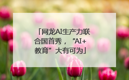 网龙AI生产力联合国首秀，“AI+教育”大有可为