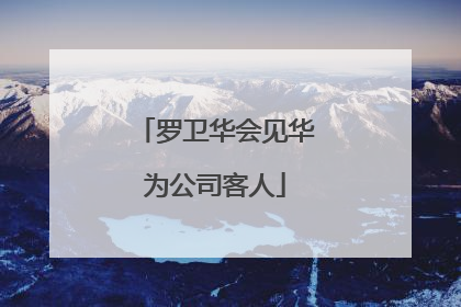 罗卫华会见华为公司客人