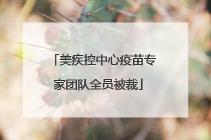 美疾控中心疫苗专家团队全员被裁