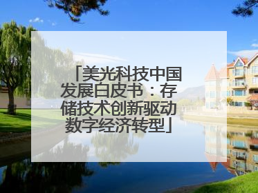 美光科技中国发展白皮书：存储技术创新驱动数字经济转型