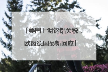 美国上调钢铝关税，欧盟德国最新回应