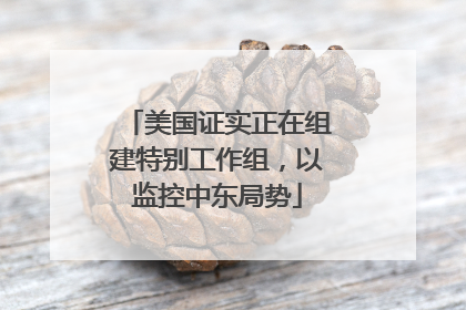 美国证实正在组建特别工作组，以监控中东局势
