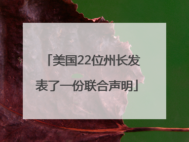 美国22位州长发表了一份联合声明