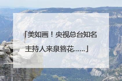 美如画！央视总台知名主持人来泉簪花……
