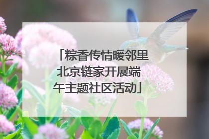粽香传情暖邻里 北京链家开展端午主题社区活动