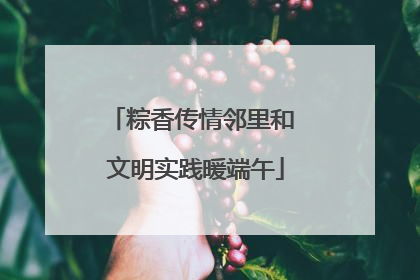 粽香传情邻里和 文明实践暖端午