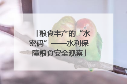 粮食丰产的“水密码”——水利保障粮食安全观察