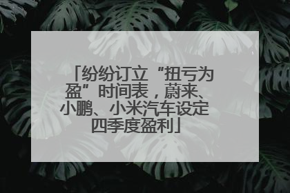 纷纷订立“扭亏为盈”时间表，蔚来、小鹏、小米汽车设定四季度盈利