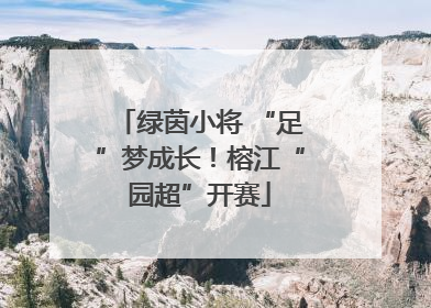 绿茵小将 “足”梦成长！榕江“园超”开赛