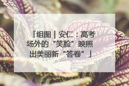组图｜安仁：高考场外的“笑脸”映照出美丽新“答卷”