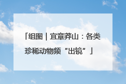 组图｜宜章莽山：各类珍稀动物频“出镜”