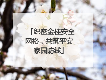 织密金桂安全网格，共筑平安家园防线
