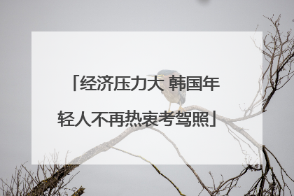 经济压力大 韩国年轻人不再热衷考驾照
