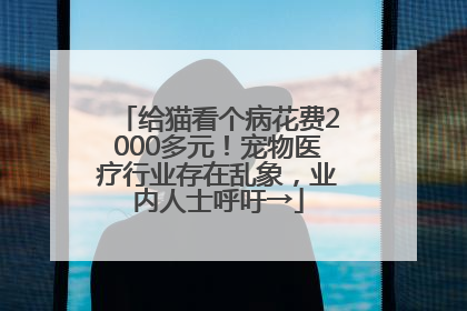 给猫看个病花费2000多元！宠物医疗行业存在乱象，业内人士呼吁→