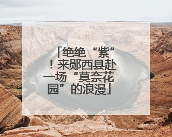 绝绝“紫”！来郧西县赴一场“莫奈花园”的浪漫