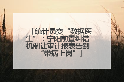 统计员变“数据医生”：宁阳前置纠错机制让审计报表告别“带病上岗”