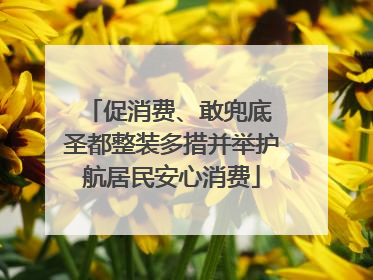 促消费、敢兜底 圣都整装多措并举护航居民安心消费