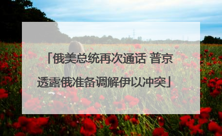 俄美总统再次通话 普京透露俄准备调解伊以冲突