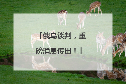 俄乌谈判，重磅消息传出！