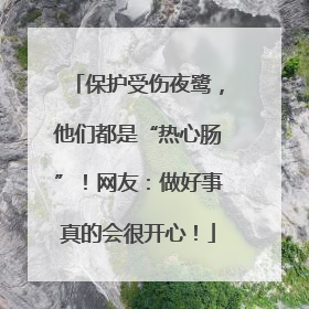 保护受伤夜鹭，他们都是“热心肠”！网友：做好事真的会很开心！