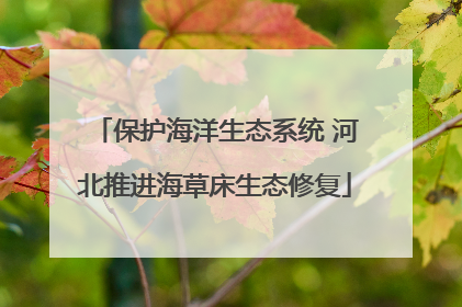 保护海洋生态系统 河北推进海草床生态修复