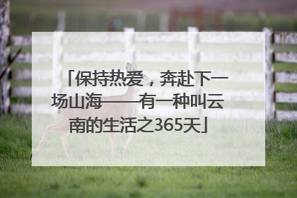 保持热爱，奔赴下一场山海——有一种叫云南的生活之365天