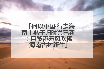 何以中国·行走海南丨燕子归时巢已新：自贸港东风吹拂 海南古村新生